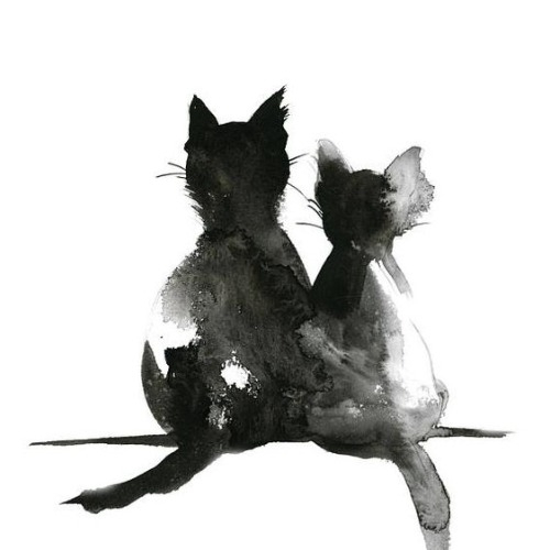 img principal ADOPTA Sitios Pet Friendly