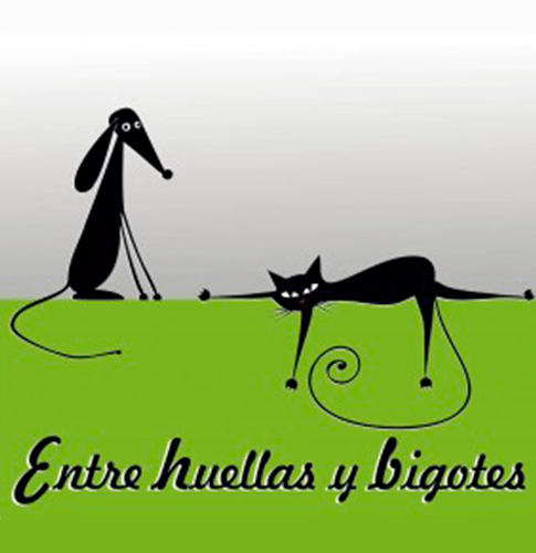 img principal ADOPTA Sitios Pet Friendly