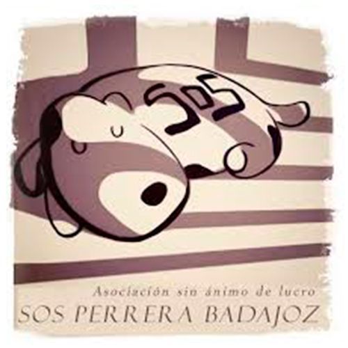 img principal ADOPTA Sitios Pet Friendly