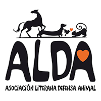 img principal ADOPTA Sitios Pet Friendly