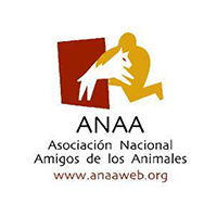 img principal ADOPTA Sitios Pet Friendly