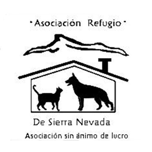 img principal ADOPTA Sitios Pet Friendly