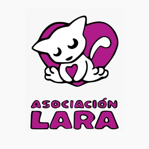 img principal ADOPTA Sitios Pet Friendly