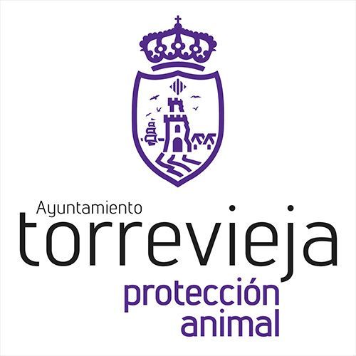 img principal ADOPTA Sitios Pet Friendly