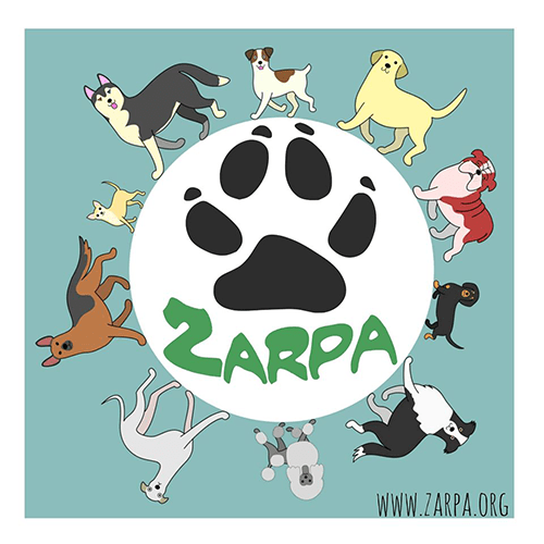 img principal ADOPTA Sitios Pet Friendly