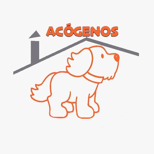img principal ADOPTA Sitios Pet Friendly
