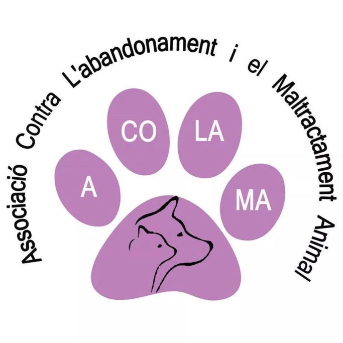 img principal ADOPTA Sitios Pet Friendly