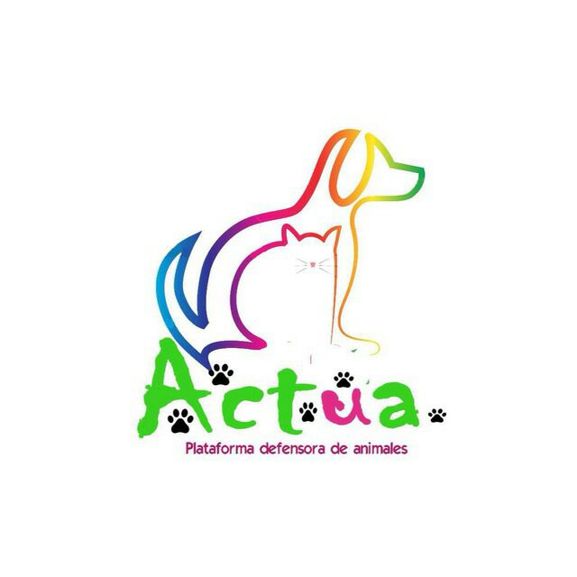 img principal ADOPTA Sitios Pet Friendly