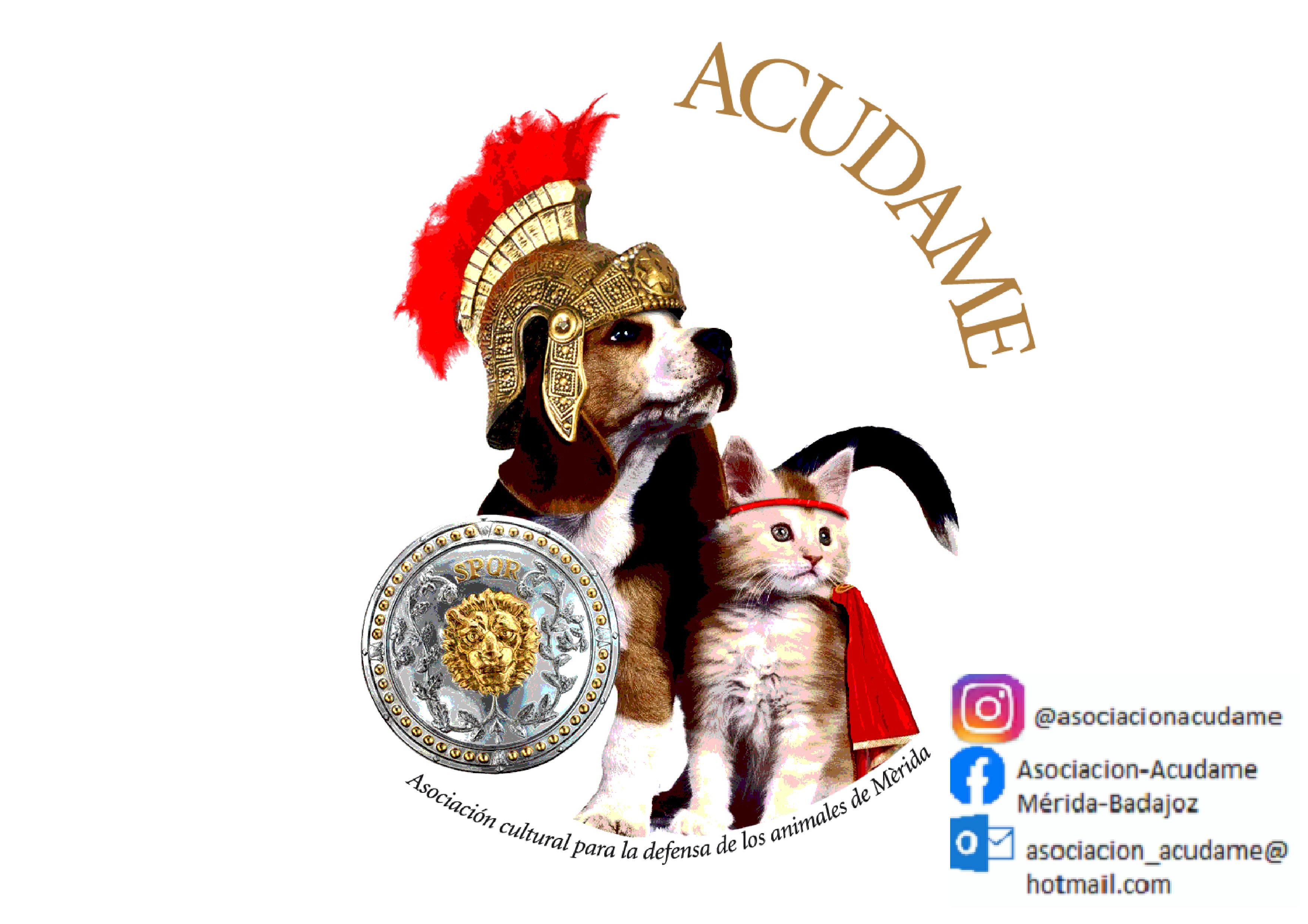 img principal ADOPTA Sitios Pet Friendly