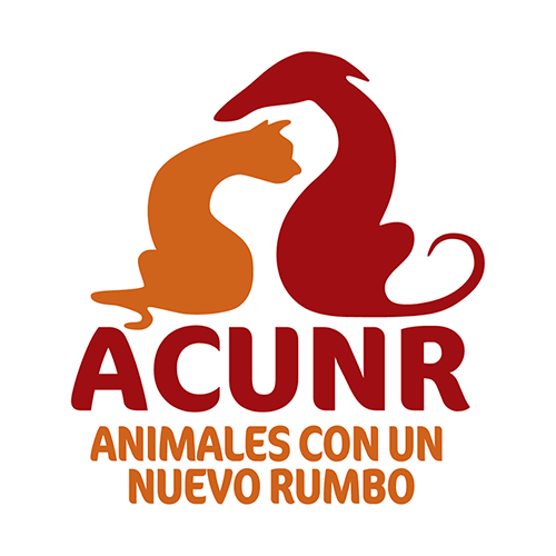 img principal ADOPTA Sitios Pet Friendly