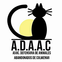 img principal ADOPTA Sitios Pet Friendly