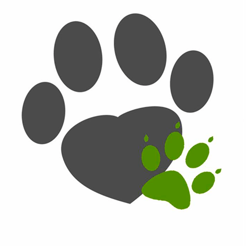 img principal ADOPTA Sitios Pet Friendly