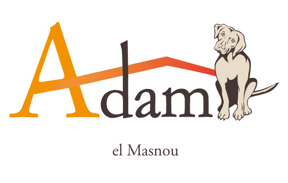 img principal ADOPTA Sitios Pet Friendly