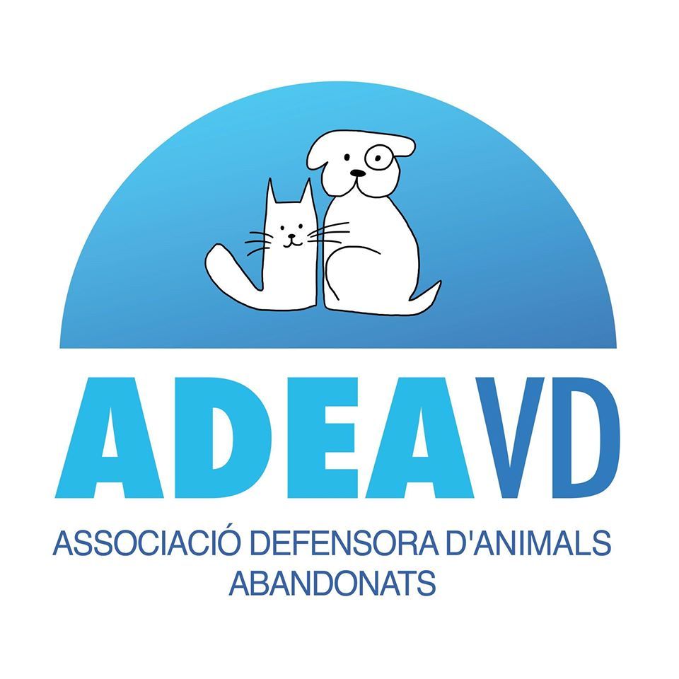img principal ADOPTA Sitios Pet Friendly