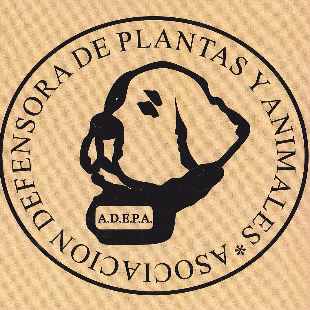 img principal ADOPTA Sitios Pet Friendly