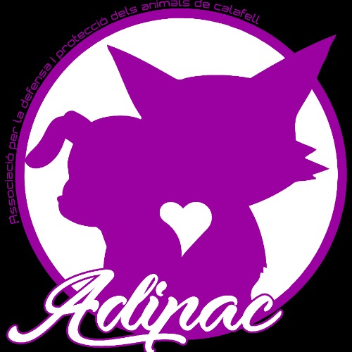 img principal ADOPTA Sitios Pet Friendly
