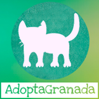 img principal ADOPTA Sitios Pet Friendly
