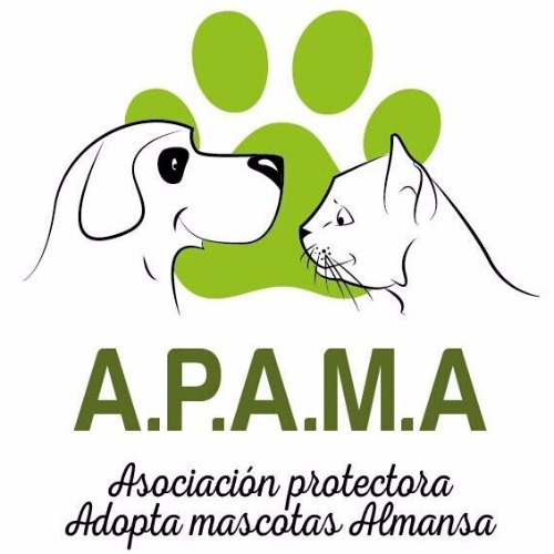 img principal ADOPTA Sitios Pet Friendly