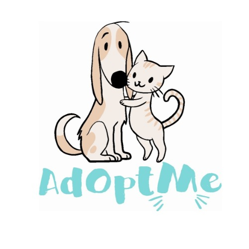 img principal ADOPTA Sitios Pet Friendly