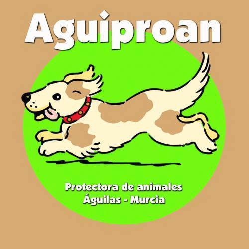 img principal ADOPTA Sitios Pet Friendly