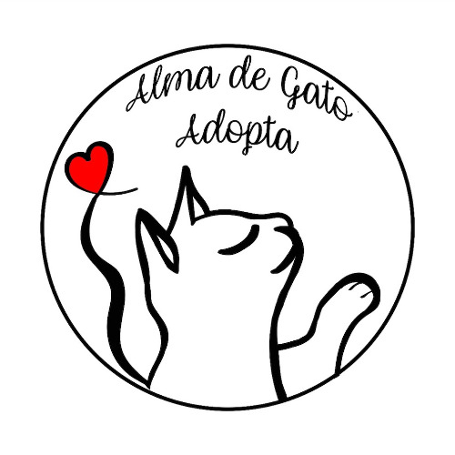 img principal ADOPTA Sitios Pet Friendly