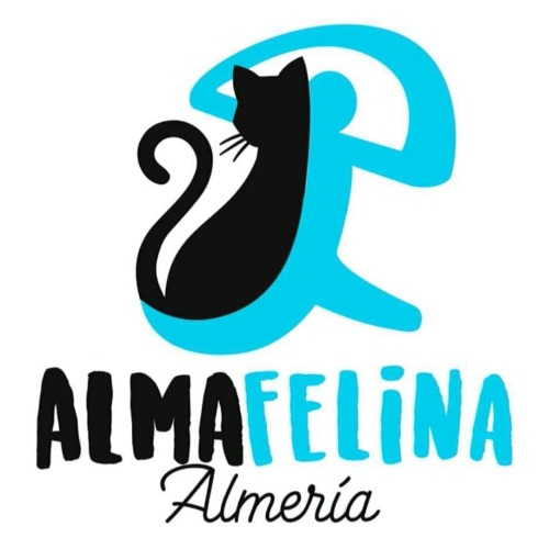 img principal ADOPTA Sitios Pet Friendly