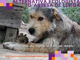 img principal ADOPTA Sitios Pet Friendly