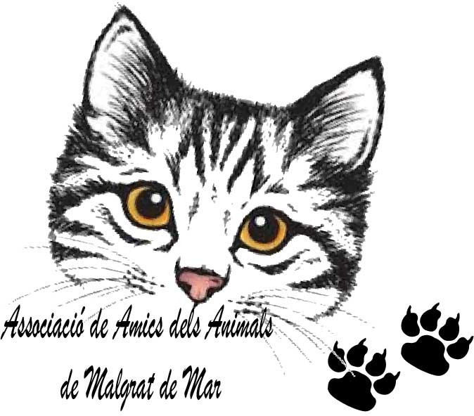 img principal ADOPTA Sitios Pet Friendly