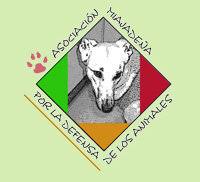 img principal ADOPTA Sitios Pet Friendly