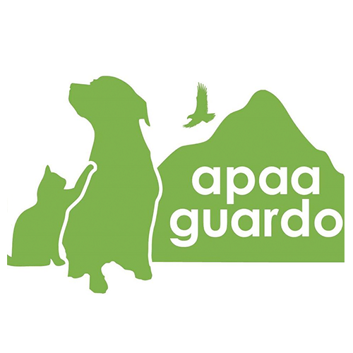 img principal ADOPTA Sitios Pet Friendly