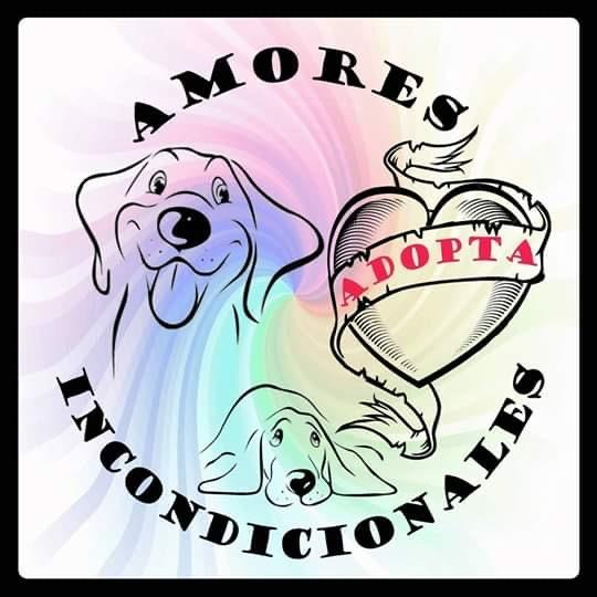 img principal ADOPTA Sitios Pet Friendly