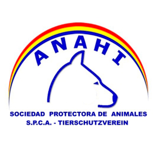 img principal ADOPTA Sitios Pet Friendly
