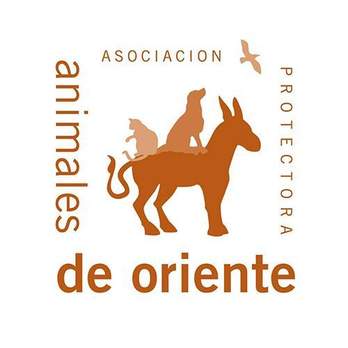 img principal ADOPTA Sitios Pet Friendly