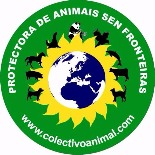 img principal ADOPTA Sitios Pet Friendly