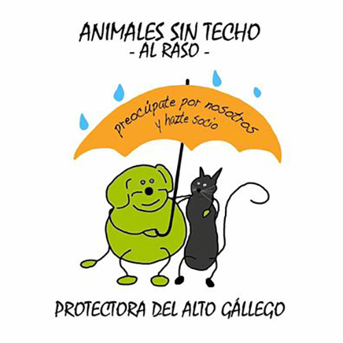 img principal ADOPTA Sitios Pet Friendly
