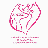 img principal ADOPTA Sitios Pet Friendly