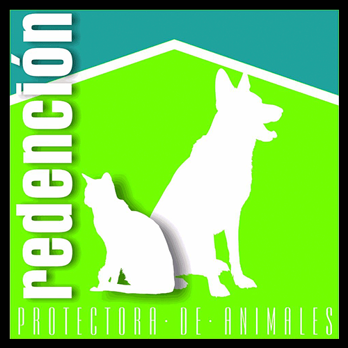 img principal ADOPTA Sitios Pet Friendly