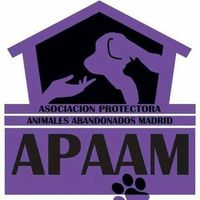 img principal ADOPTA Sitios Pet Friendly