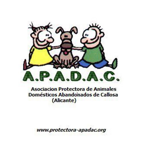 img principal ADOPTA Sitios Pet Friendly
