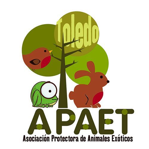 img principal ADOPTA Sitios Pet Friendly