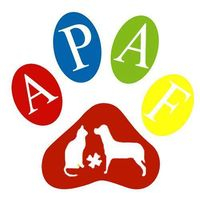 img principal ADOPTA Sitios Pet Friendly
