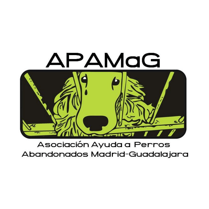 img principal ADOPTA Sitios Pet Friendly
