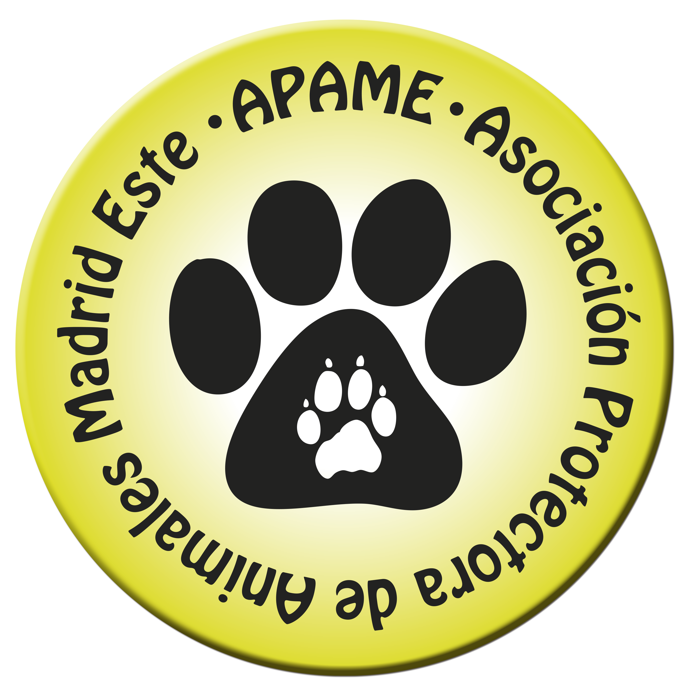 img principal ADOPTA Sitios Pet Friendly