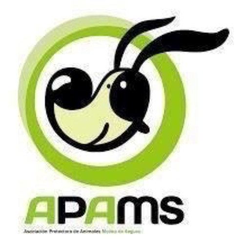 img principal ADOPTA Sitios Pet Friendly