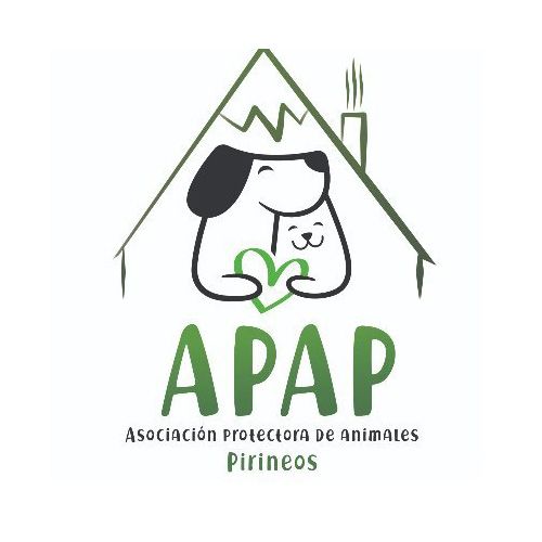 img principal ADOPTA Sitios Pet Friendly
