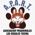 img principal ADOPTA Sitios Pet Friendly