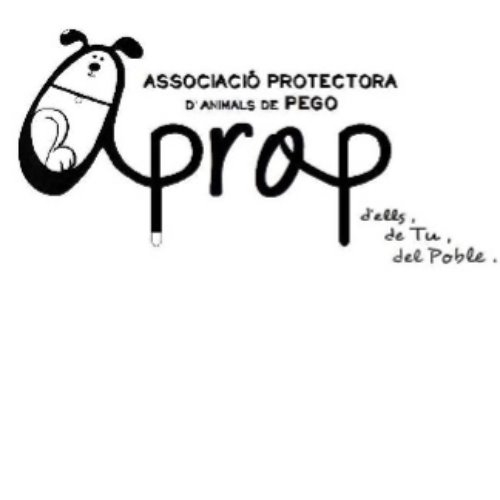 img principal ADOPTA Sitios Pet Friendly