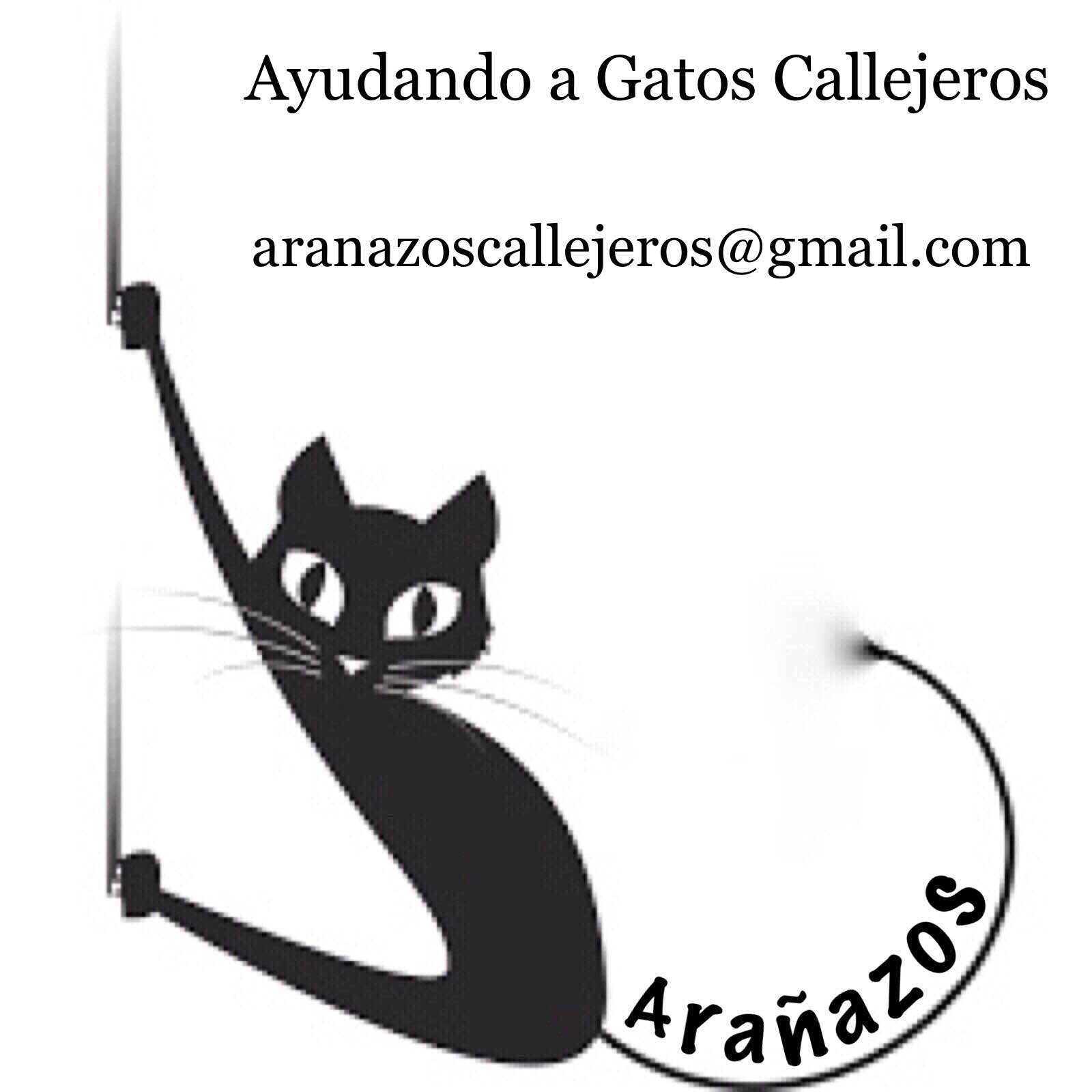 img principal ADOPTA Sitios Pet Friendly