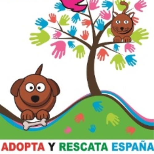 img principal ADOPTA Sitios Pet Friendly