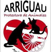 img principal ADOPTA Sitios Pet Friendly